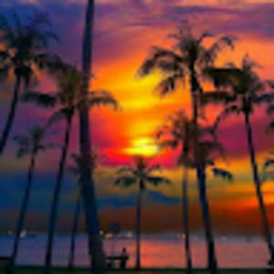 Meet your Posher, Keela